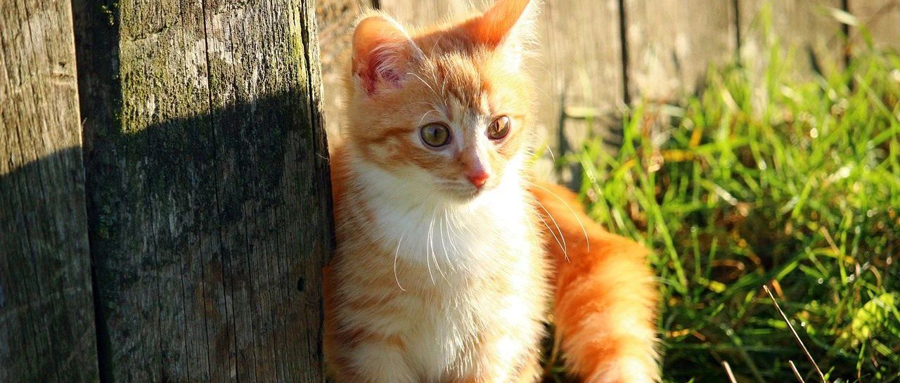 珠海金鼎巷子里150元的爱情故事揭秘