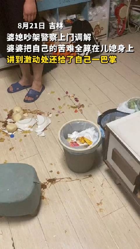 婆媳吵架警察上门调解，婆婆把自己的苦难全算在儿媳身上……