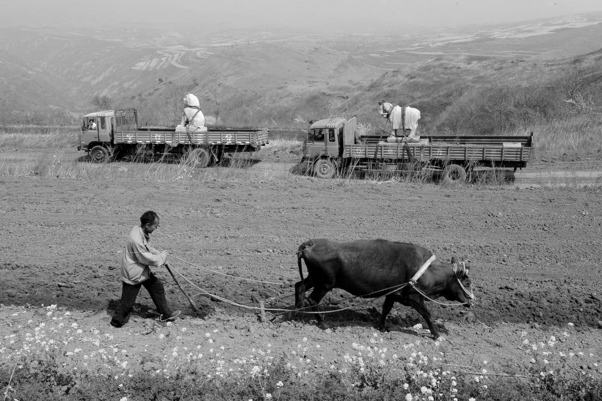 春耕,陕西淳化, 2009年4月