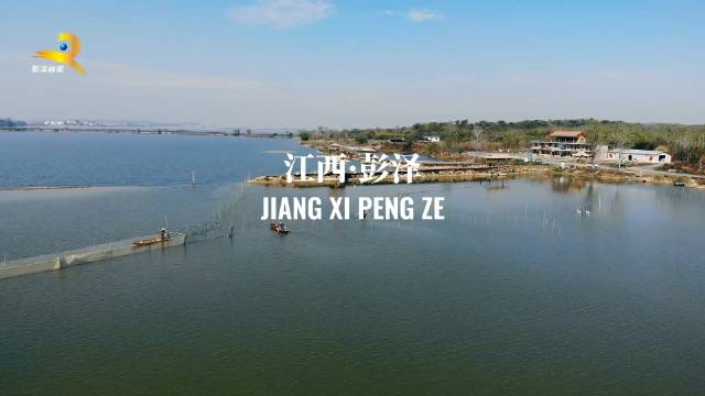 九江附近一百元三小时上门服务体验分享