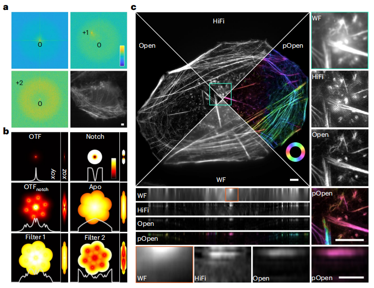 生物光学成像,生物学成像是什么意思