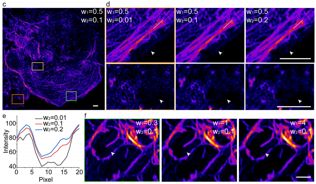 生物光学成像,生物学成像是什么意思