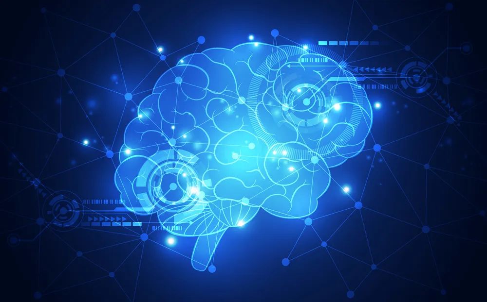 年烧掉亿欧盟「人脑计划」宣告失败?算法重建人类大脑遥不可及成果支离破碎