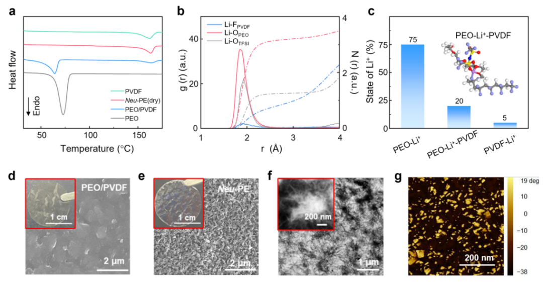 人体神经网络循环，人体神经网络信息