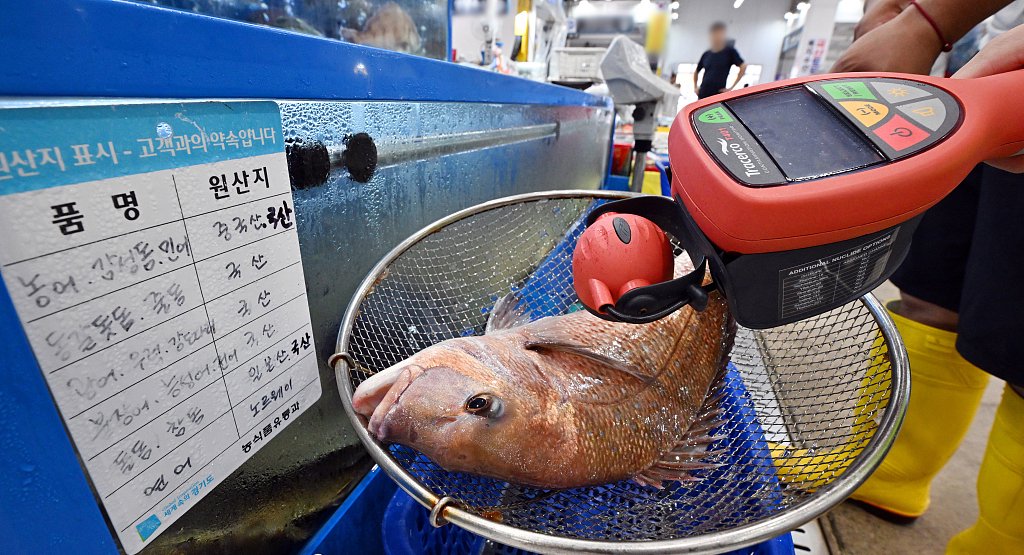 當地時間2023年8月22日，韓國水原市，一名檢疫人員在漁業市場測量魚類的輻射水平。