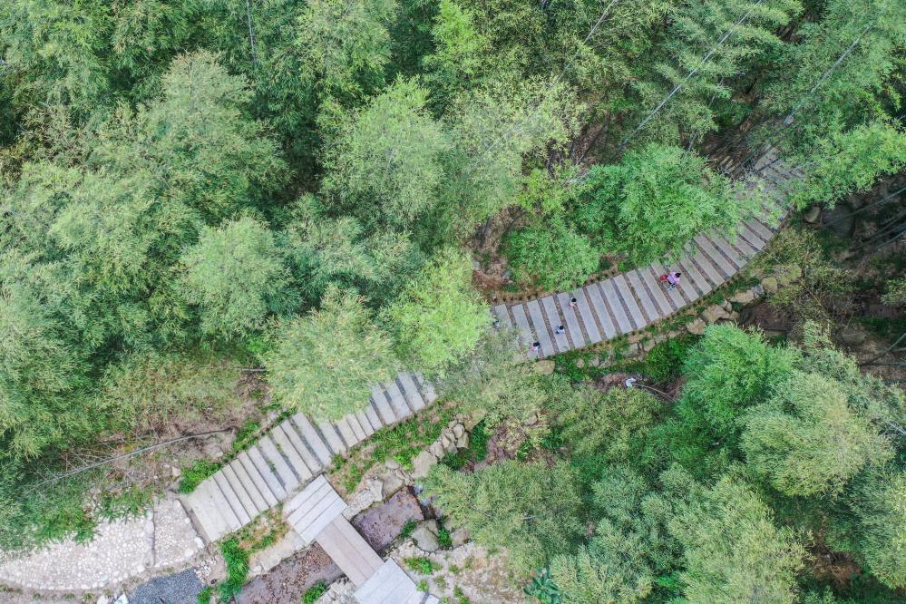 圖為遊客在藍山縣藍山穀景區竹林內遊玩。（彭華 攝）