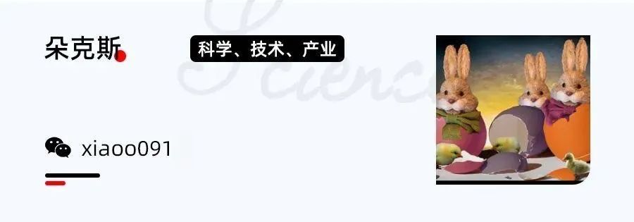 人类肾脏迎来“高清地图”：科学家建立迄今为止最大规模肾脏多维单细胞图谱，能预测患者五年之后的肾功能状况