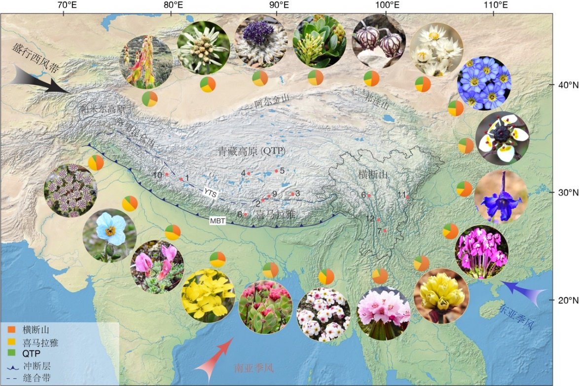 西藏-喜马拉雅-横断山地区地形图。西双版纳热带植物园供图