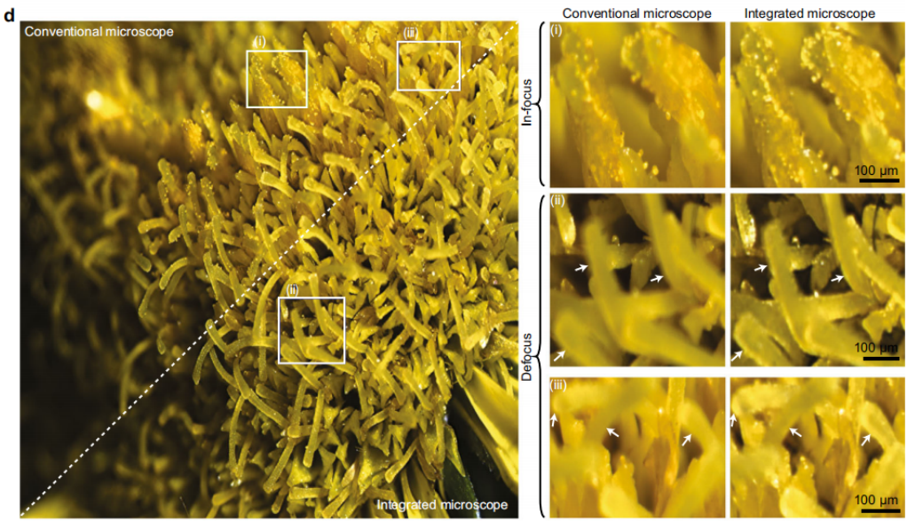 戴琼海院士 要去广州大学吗，戴琼海院士清华