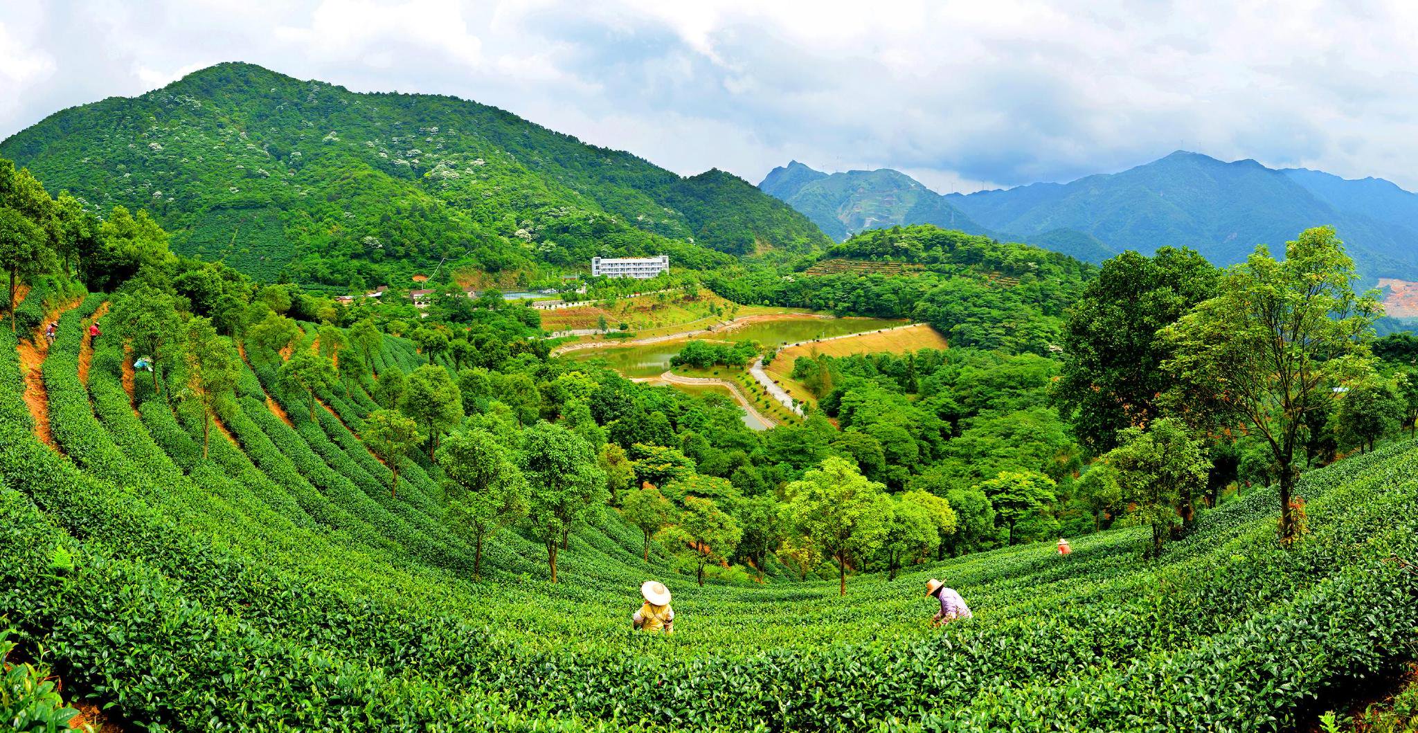 云浮市简介与发展解析——广东省云浮市全景解析