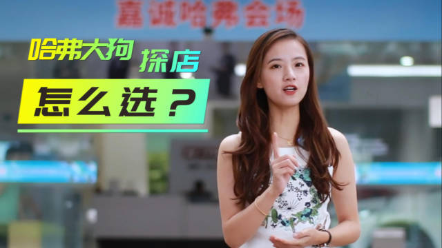 探店实拍2024款哈弗大狗，更狂野、更贴心，车展期间优惠多！