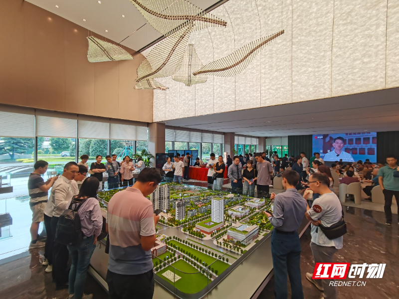 9月2日,在即将首开的中建桃李九章营销中心,看房者络绎不绝