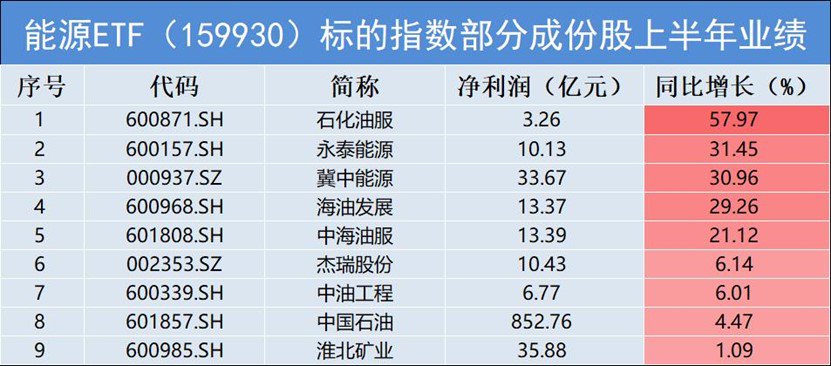 数据来源:公司半年报