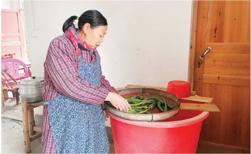 　　吴桂英老人正在择青椒，她现在每月可以领取184元养老金。　农民日报·中国农网记者　刘杰　摄