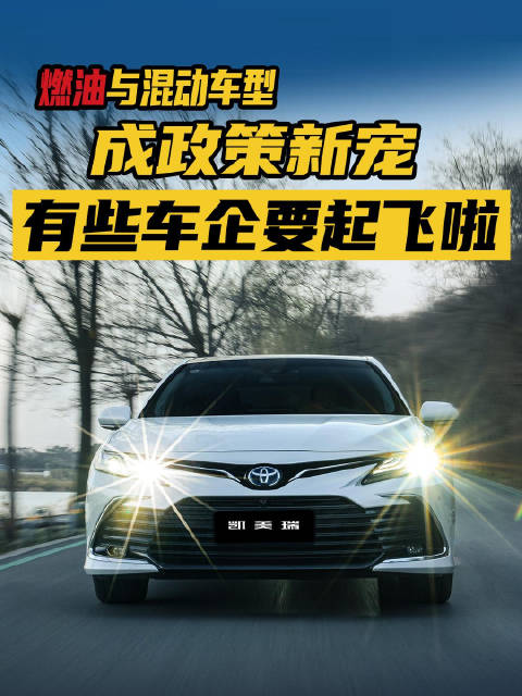 燃油与混动车型成政策新宠，有些车企要起飞啦