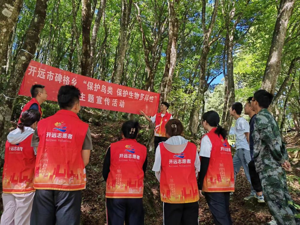 你会踊跃参与志愿者的各项活动吗?