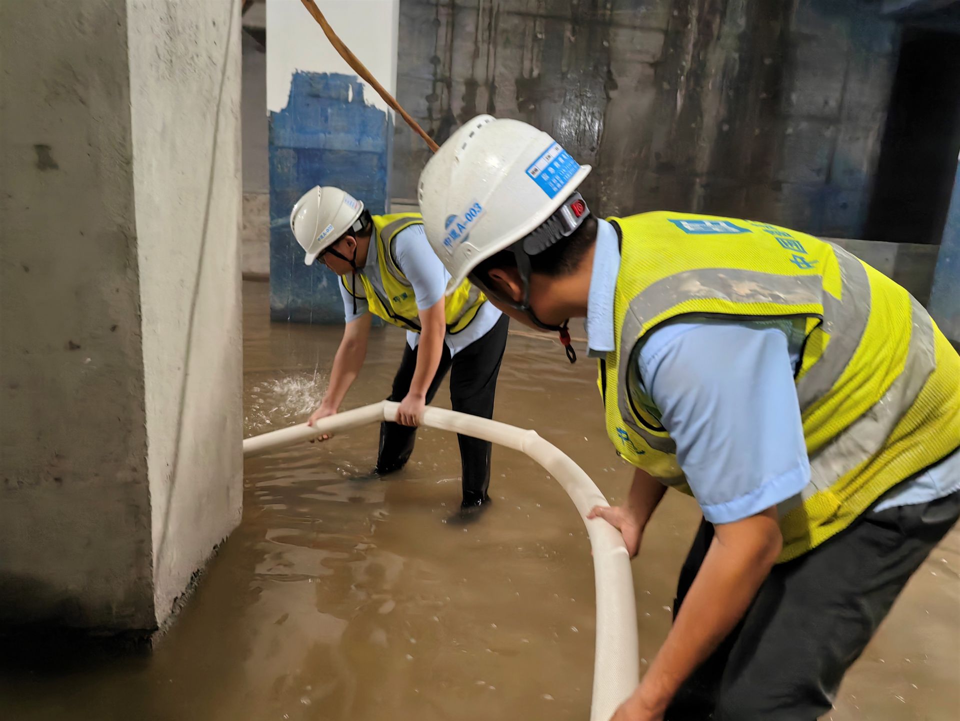 可约空降上门服务模式解析,即时需求响应机制探讨