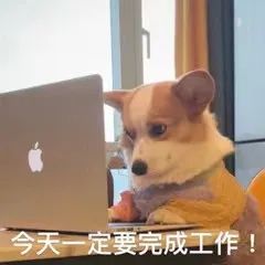 你所不了解的政府融资平台插图 你所不了解的政府融资平台插图