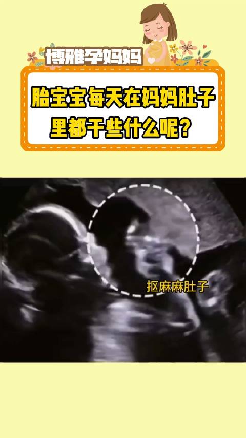 宝宝在肚子里每周的样子，孕妈妈们都几周了呀孕期