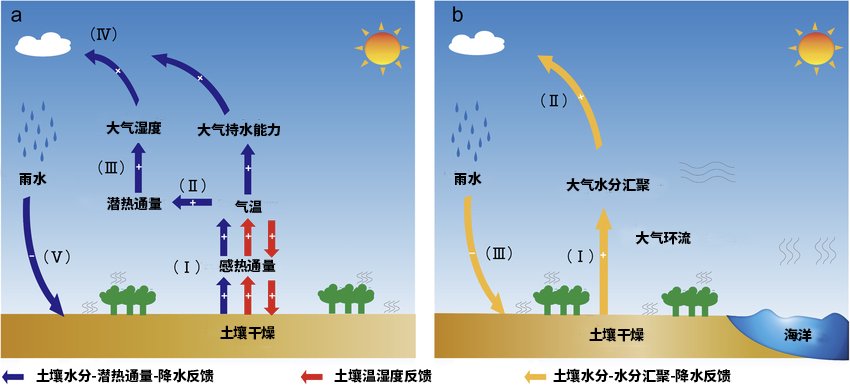 非洲气候危机:干旱与洪水交替出现,间隔越来越短
