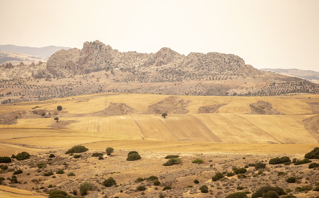 非洲气候危机:干旱与洪水交替出现,间隔越来越短