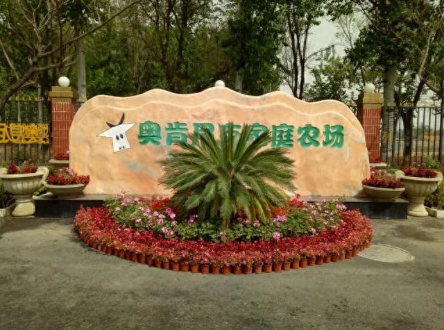 图片来源:文旅大兴