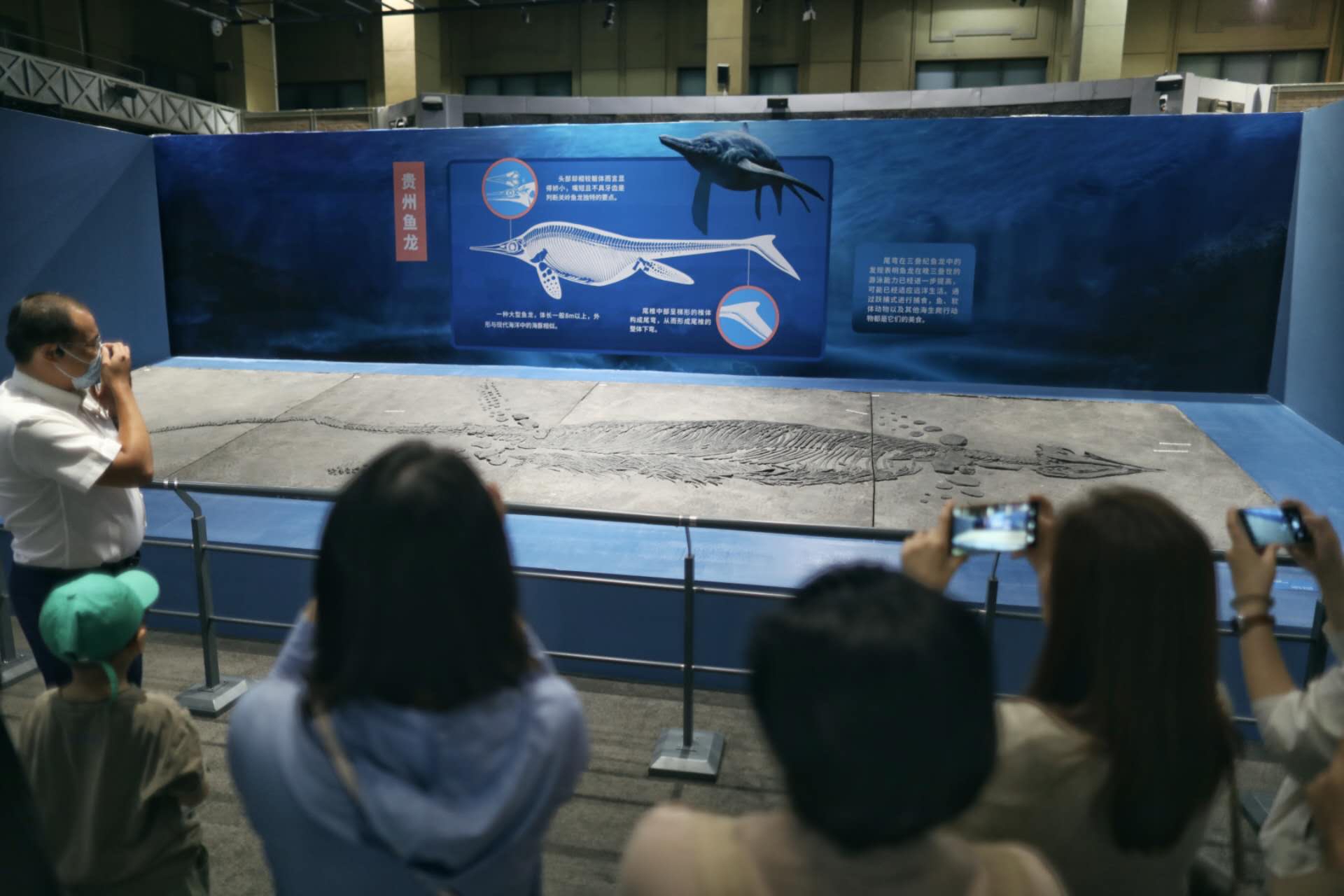 9月19日,國家自然博物館,觀眾在觀看七八米長的梁氏關嶺魚龍化石。 新京報記者 浦峰 攝