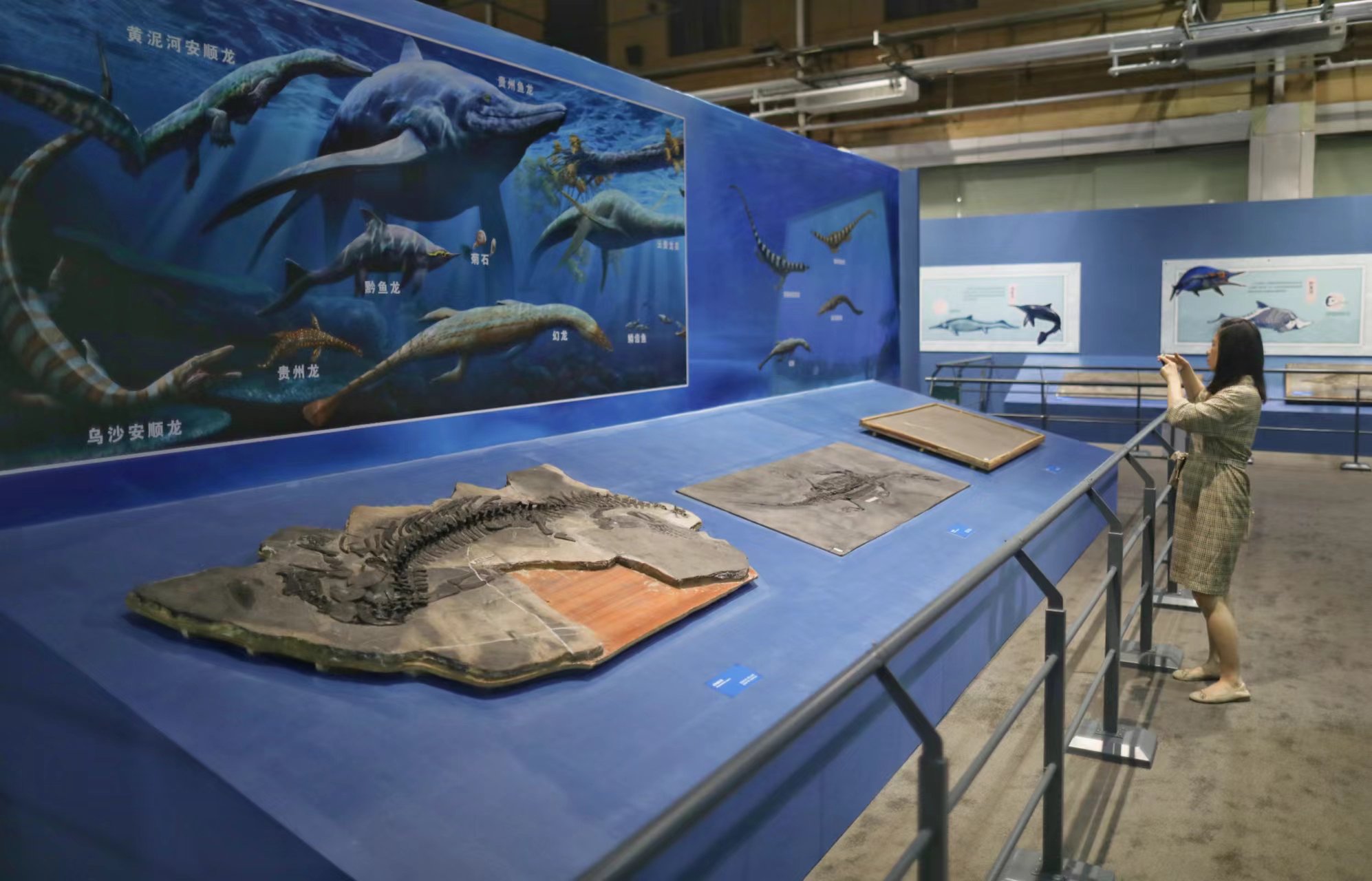 9月19日，「龍躍黔海——貴州三疊紀的海洋世界」展覽在國家自然博物館陽光廳開展，觀眾在現場觀看展覽。 新京報記者 浦峰 攝