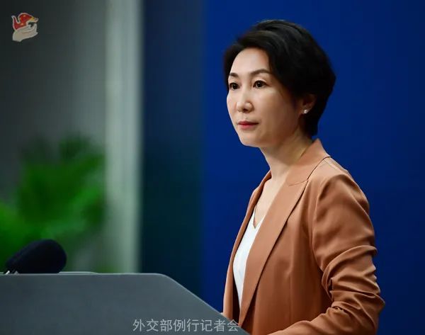 毛宁 资料图 图源:外交部网站