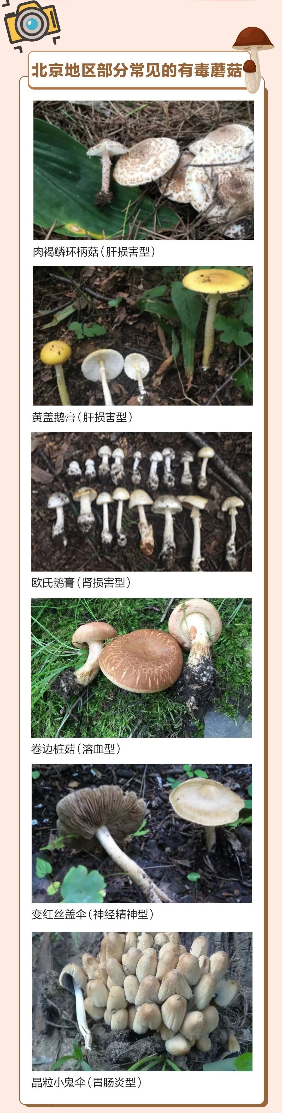 北京广播电视台美编 杨盼