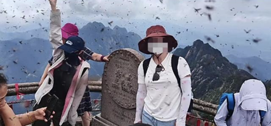 視頻截圖