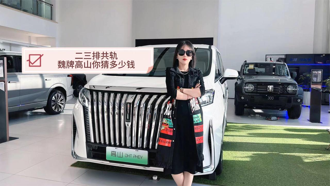 40万级别高端MPV 魏牌高山都有哪些优点？