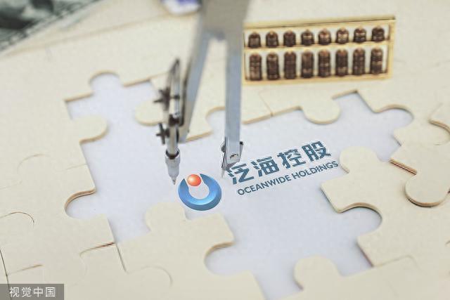 泛海控股 視覺中國 資料圖