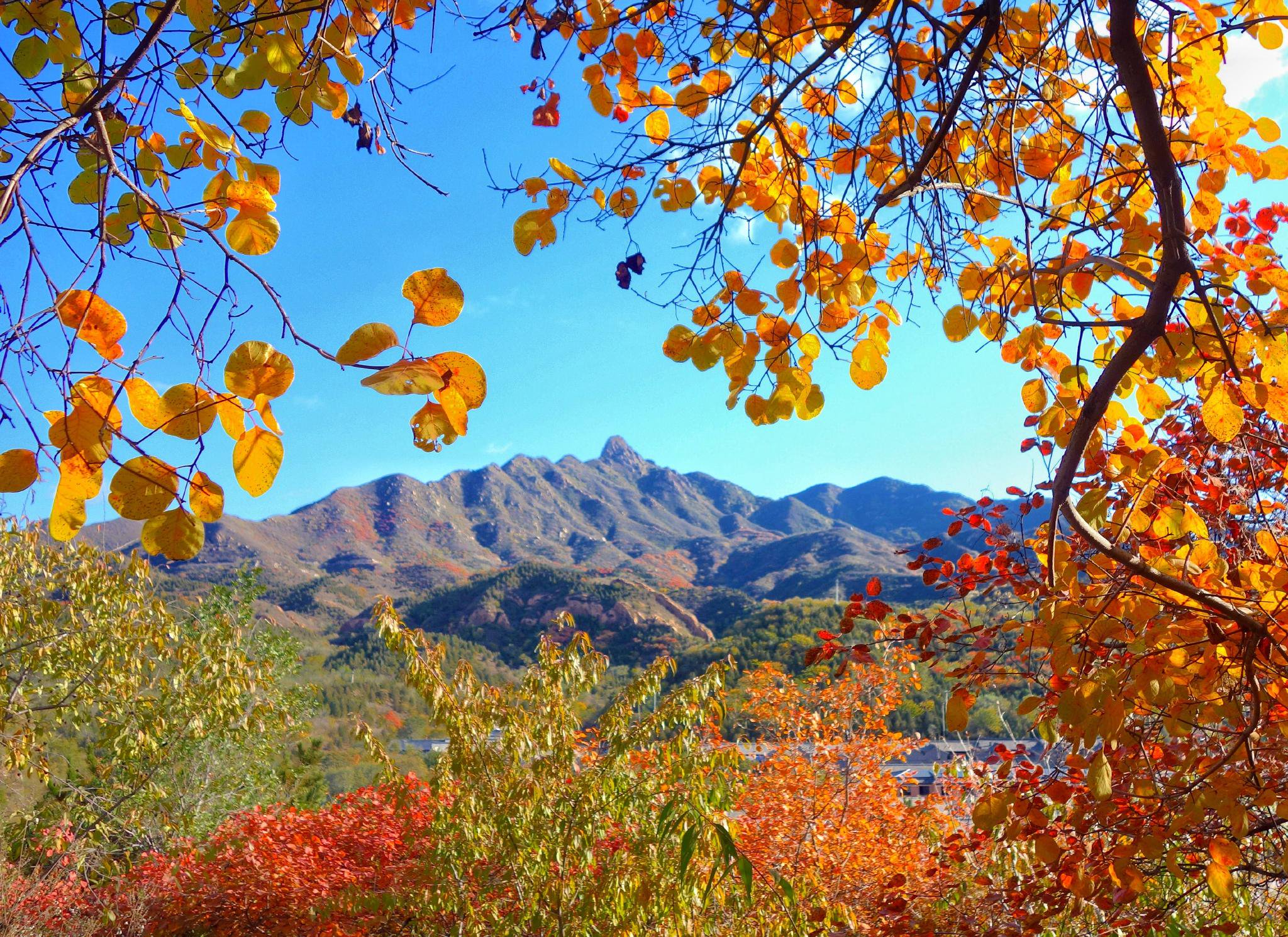 八達嶺鎮秋景圖。八達嶺鎮供圖