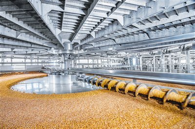 洋河智能工厂。 企业供图