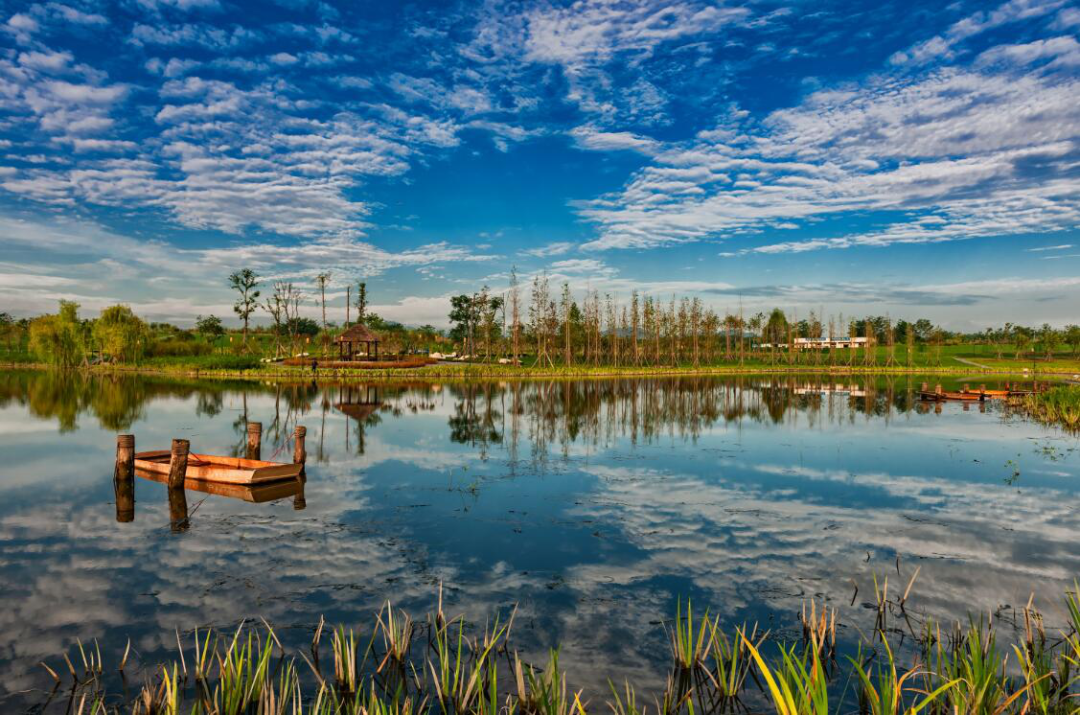 新津白鹤滩国家湿地公园  图源：成都新津