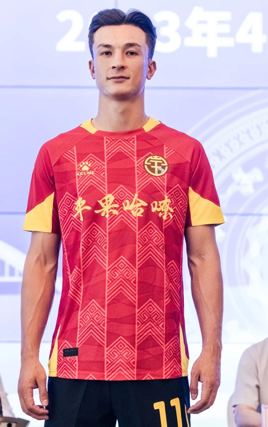 安永佳效力于中甲广西平果哈嘹队。