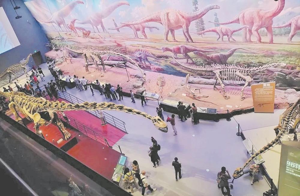 成都自然博物馆内游客正在观展
