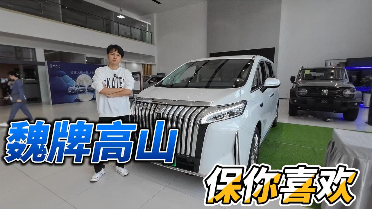 魏牌高山来咯！MPV怎么选？它给你了一个新选择！