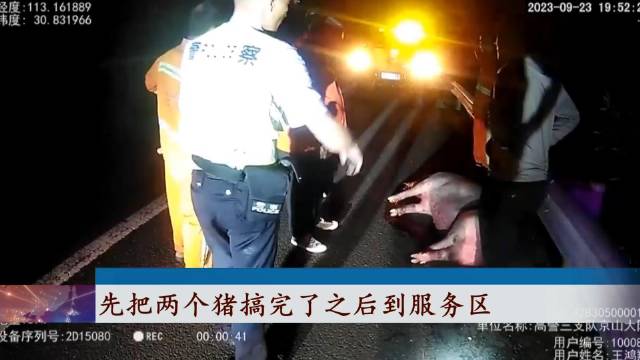 二师兄高速上越狱跳车民警闻讯抓捕 民警 跳车 高速 新浪新闻