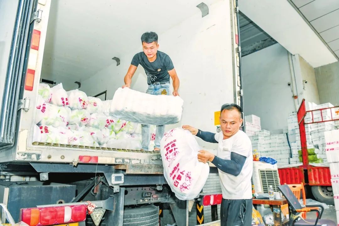 在海口菜篮子江楠农产品批发市场,工作人员将刚从港口运来的蔬菜搬运下车。记者 孙士杰 摄
