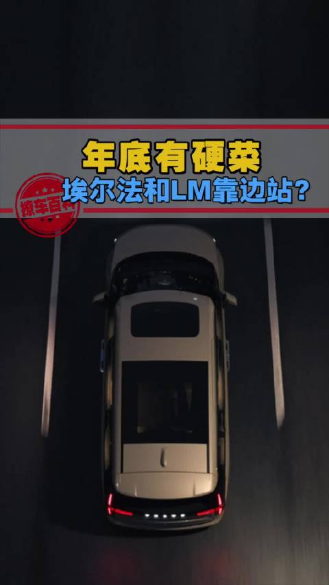 百万级MPV埃尔法、LM一家独大，一个能打的都没有？