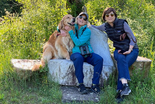 诺奖新晋得主看经济与性别差距：女性事业家庭两难、生育率下降都缘于此