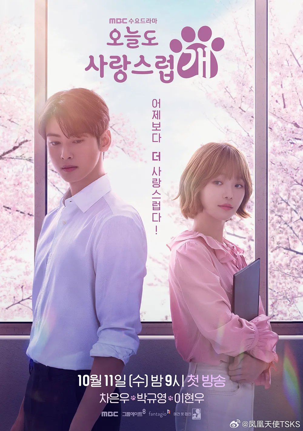 10月11日晚水木剧收视率（全国） MBC《今天也很可爱的狗》今天也很可爱的狗水木收视率_新浪新闻