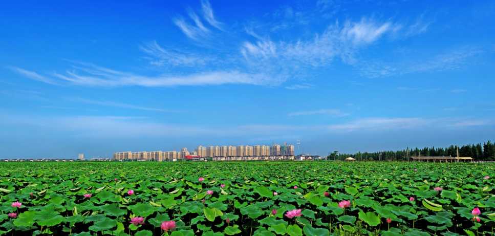 客商共富(消费者变消费商)