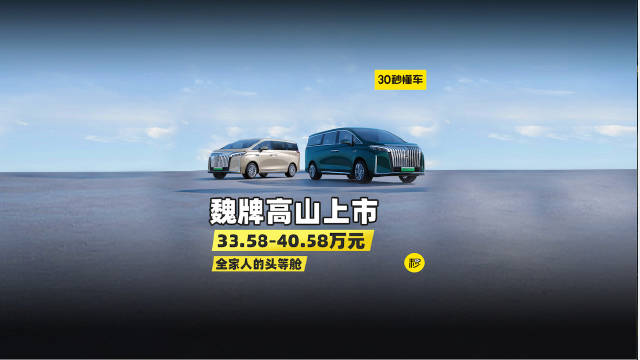 魏牌高山上市 售价33.58-40.58万元 加价埃尔法不香啦