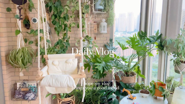 vlog｜绿植养护+运动｜去好友家探访