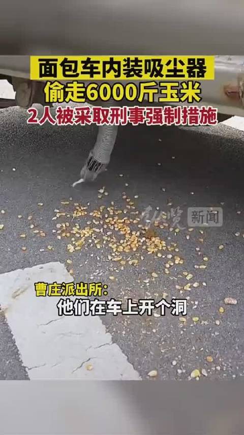 这不是人才是什么