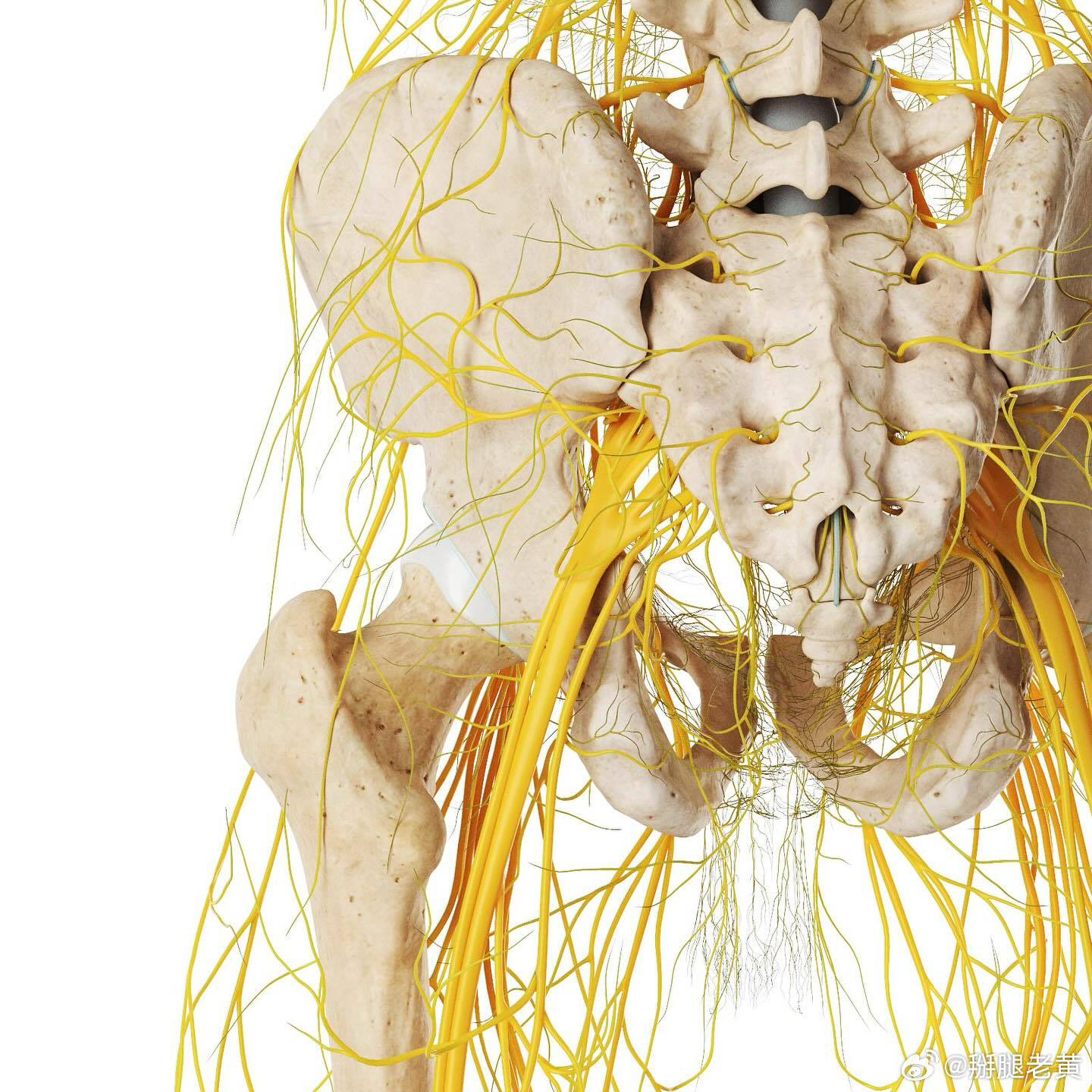 堵牙后疼需要挑神经吗？