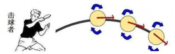 乒乓球技巧揭秘：如何轻松区分对手的上旋与下旋？